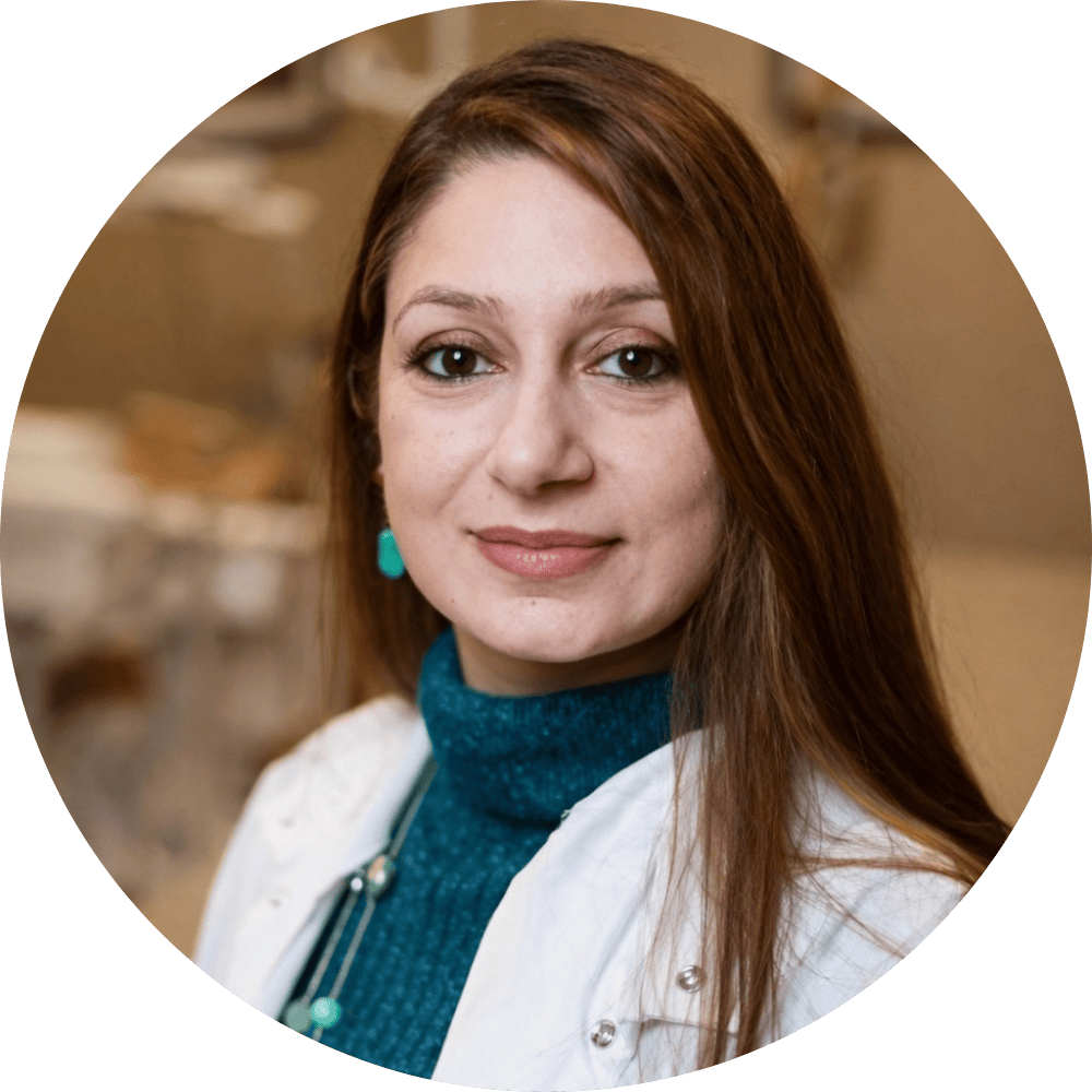 Ambreen Andrabi, DDS